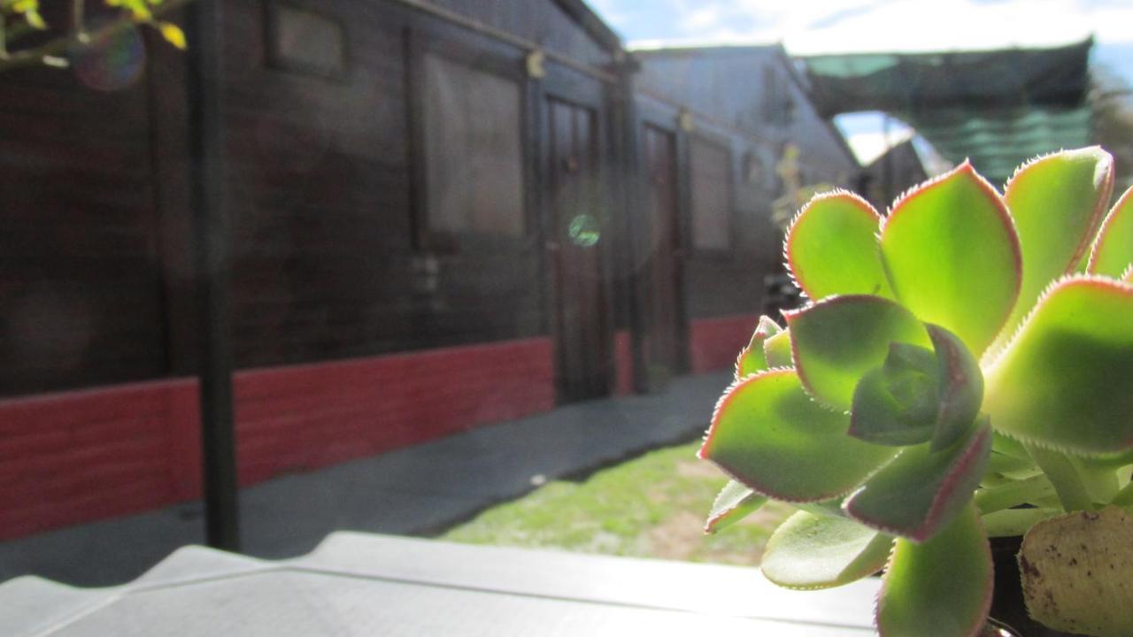 Hostal Del Suri Cafayate Bagian luar foto