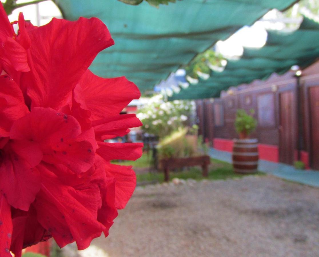 Hostal Del Suri Cafayate Bagian luar foto